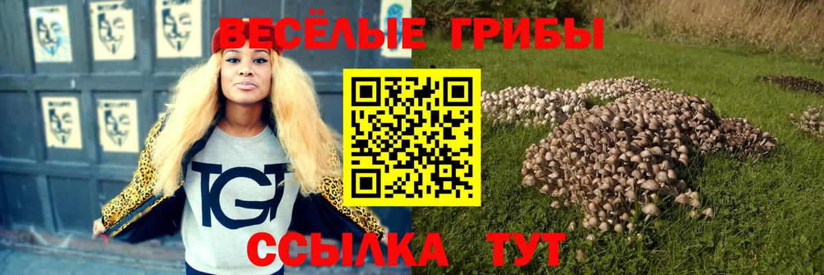 Псилоцибиновые грибы мицелий Лениногорск