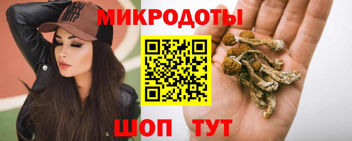 Лениногорск  Псилоцибиновые грибы мицелий  Вход с VPN 